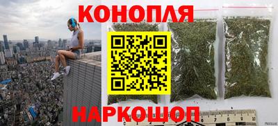 a pvp Бийск